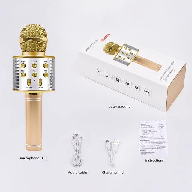 Com Microfone karaokê Bluetooth SPEAKER a diversão está Garantida - Look produto certo